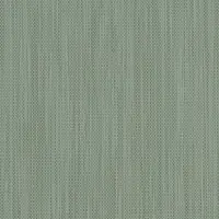 Eucalipto