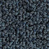 509