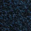 Black Blue