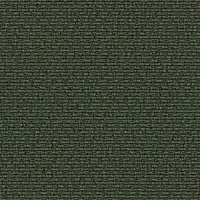 1075 Underbrush