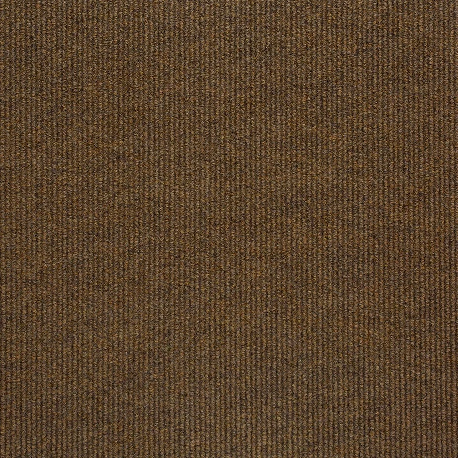 Academy acc BioBase 50x50 cm: 11878 Sandy Beige