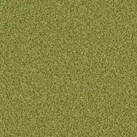 1401 Pesto