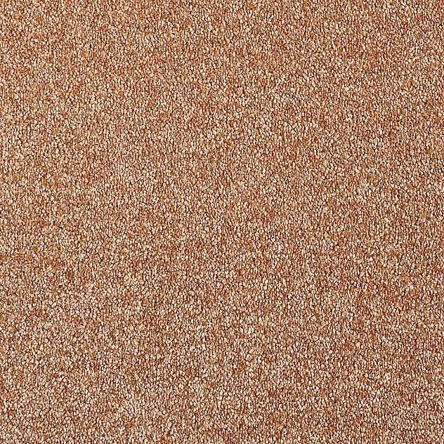 Couture-Shine wtx 400: 231