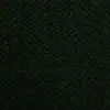 6236 Gamma Green