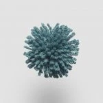 FdS Band 0 New Zealand Wool (W): W761 Deep Lake
