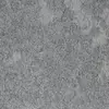 34301 Silver Gleam