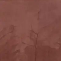 41665 Sandalwood