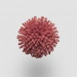 FdS Band 0 New Zealand Wool (W): W673 Cherry
