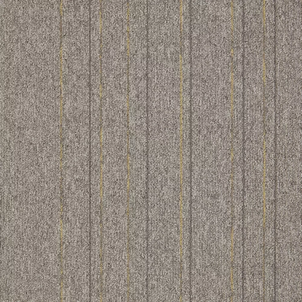 First Straightline sd b2b 50x50 cm: 142