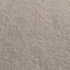 Cockle