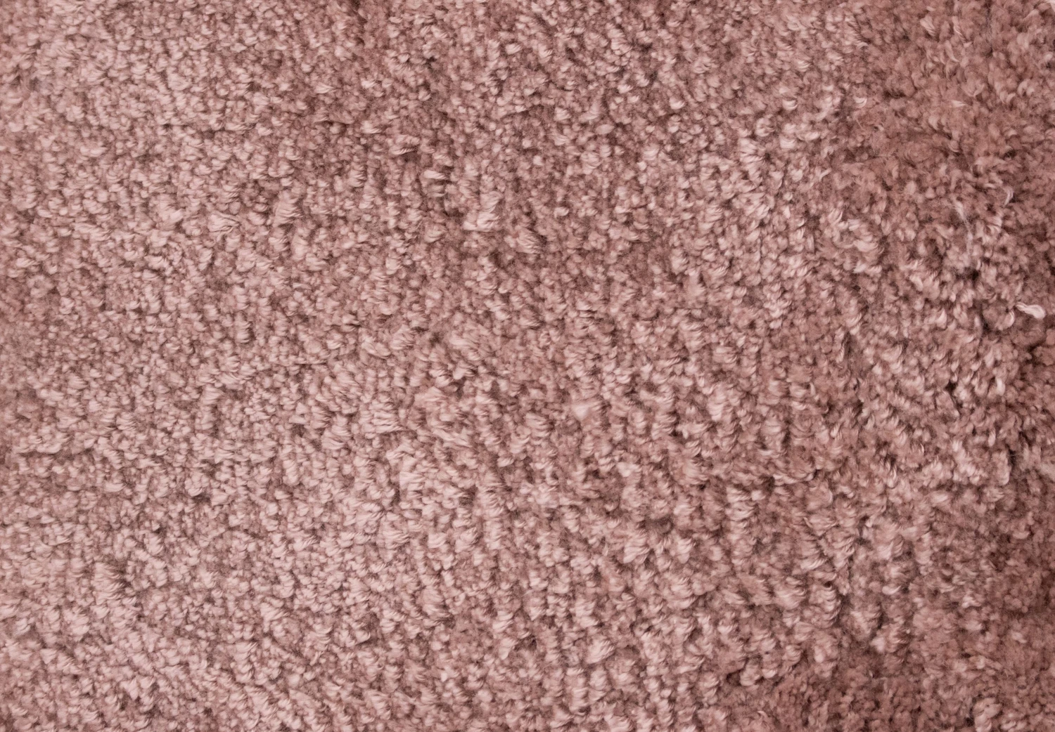 Soft 12: uniLY24