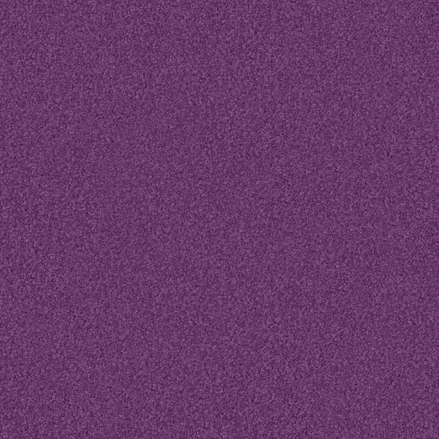 Madra 1100 cab 400: 1122 Krokus