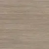 9869 Honey Beige