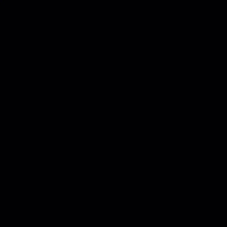 SKI 100 85|17 mm: N004