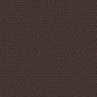 1078 Dark Forest
