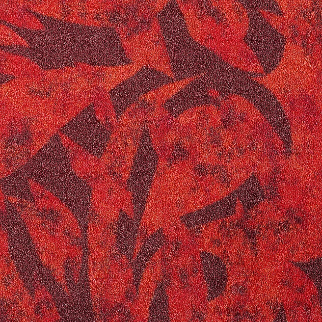Coronado MO lftb 25x100 cm: 038