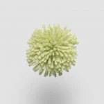 FdS Band 0 New Zealand Wool (W): W565 Daiquiri Green