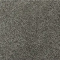9221 Silver Grey Cement