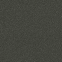 0954 Field