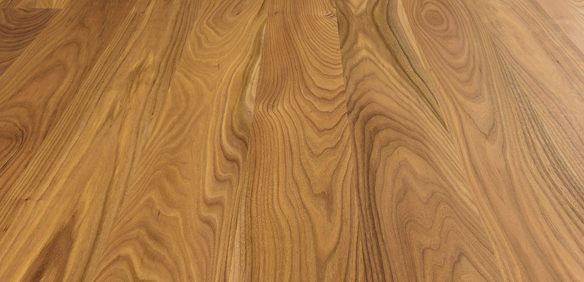 Mazzonetto Classic: American Elm