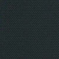 Ebony Grey