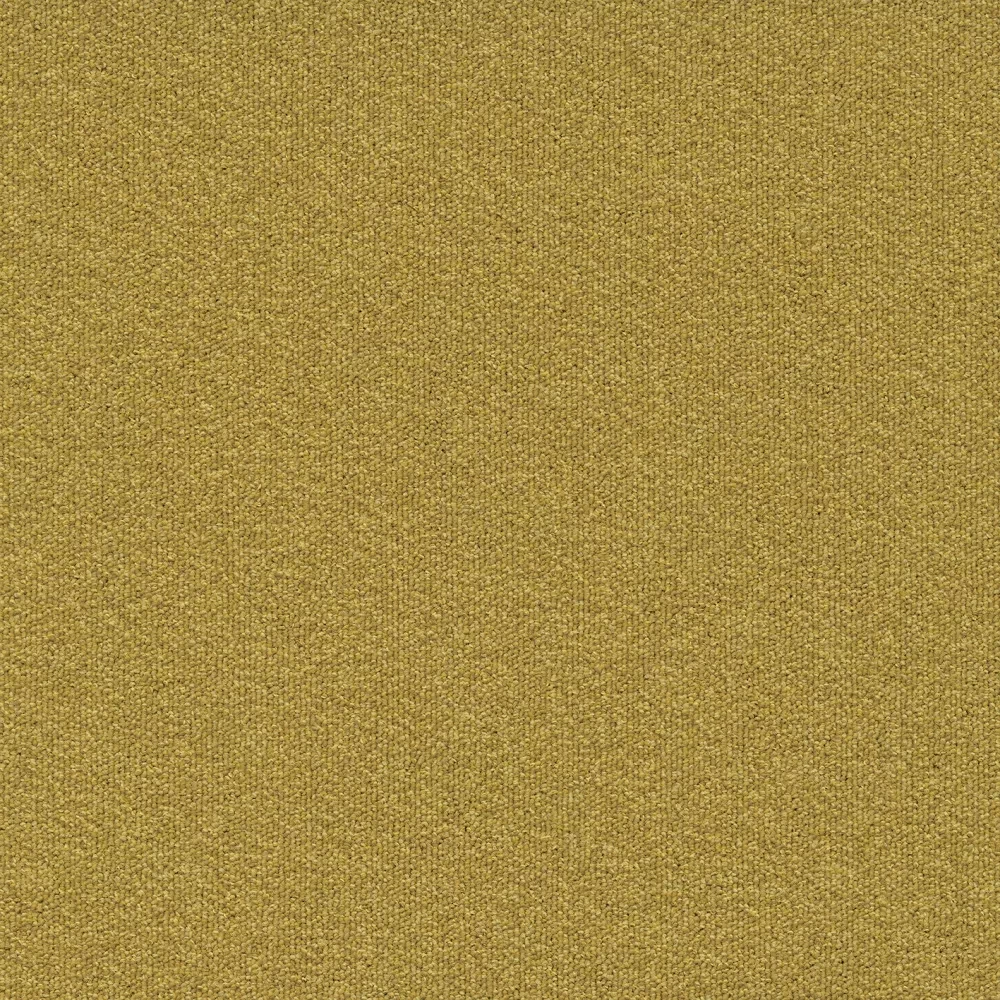 Millennium Nxtgen sd b2b 50x50 cm: 200