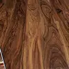 Palissander