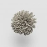 FdS Band 0 New Zealand Wool (W): W207 Mud