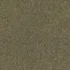 ZEO.0484 Barley 4