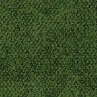 000800-488