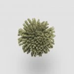 FdS Band 0 New Zealand Wool (W): W222 Cactus