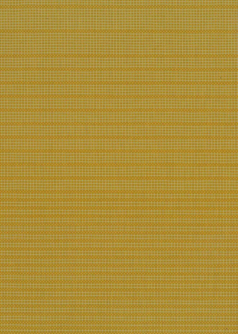 Density 250 cm: MT Ochre