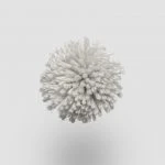 FdS Band 0 New Zealand Wool (W): W765 Silver