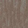 Apricot 48675