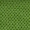845 Kiwi