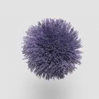 TW621 Dark Purple