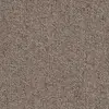 Apricot 48675