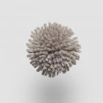 FdS Band 0 New Zealand Wool (W): W542 Beaver