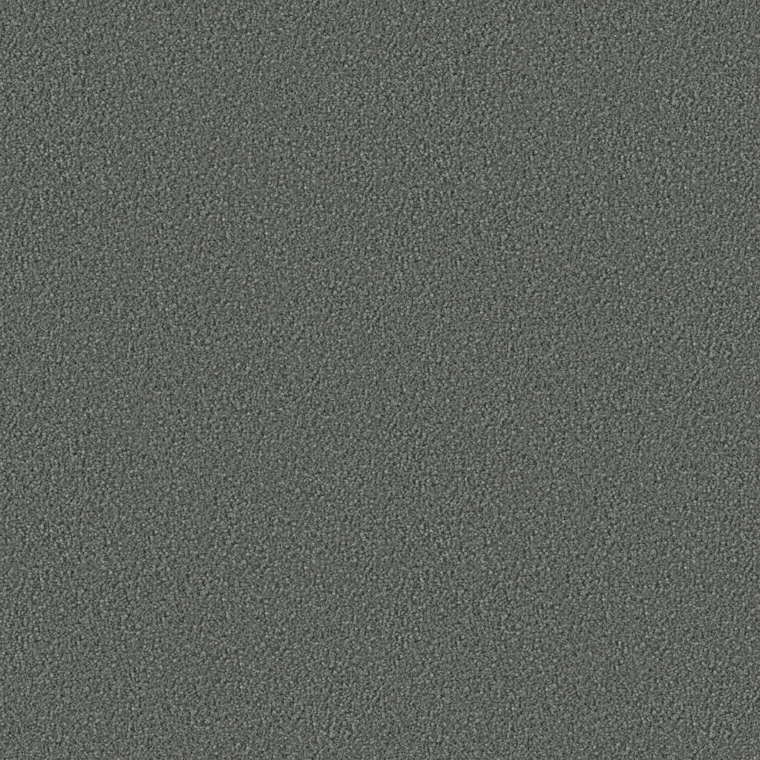 Contract 1000 cab 400: 1033 Delfin