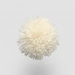 FdS Band 0 Mohair (TW): TW535 Almond