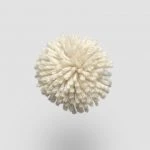 FdS Band 0 New Zealand Wool (W): NW101 Light Yellow