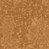 35515 Apricot Mural