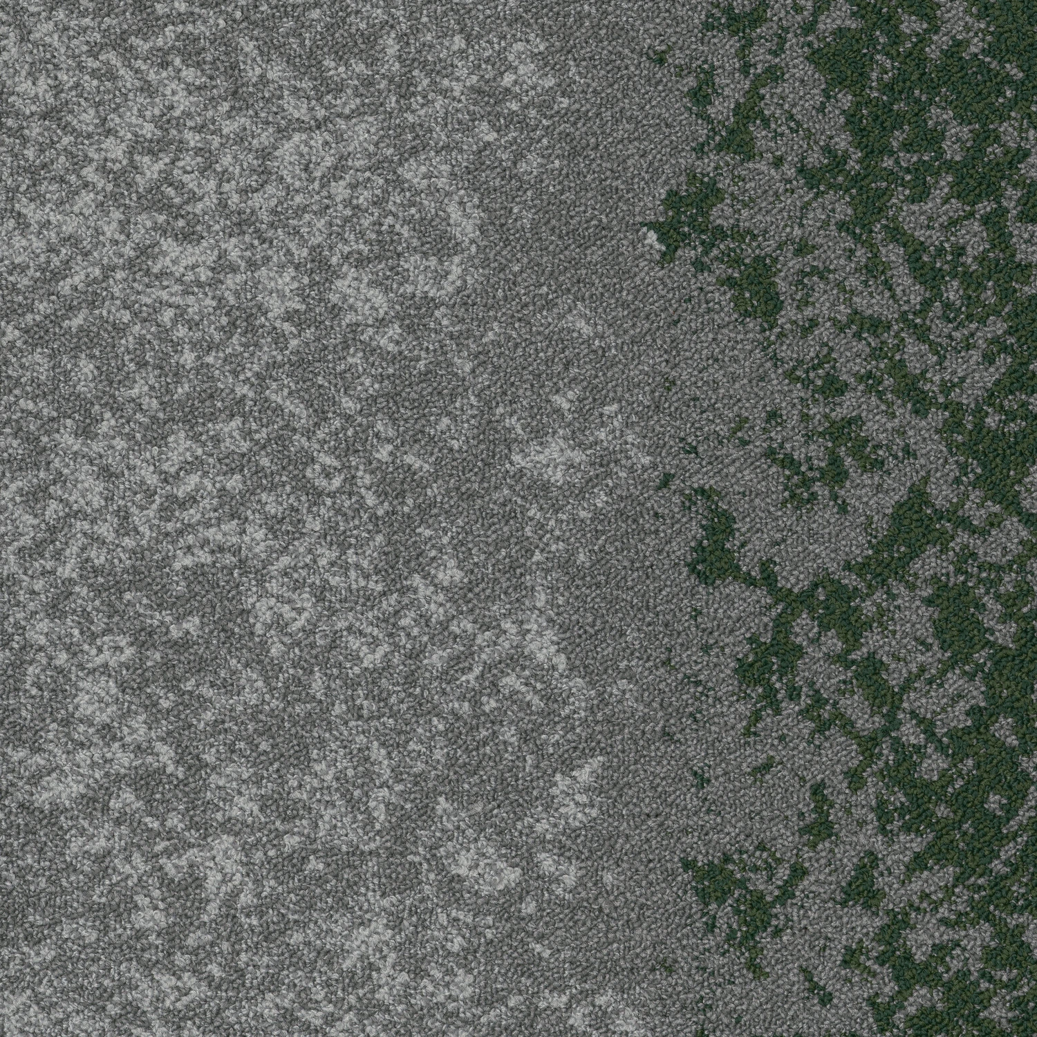 Shifting Fields Landing Edge tw sd 50x50 cm: Pristine Evergr 71334