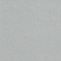 White Grey