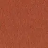 Coral 83866