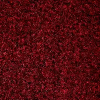 101