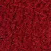 Regal red