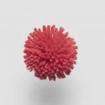 FdS Band 0 New Zealand Wool (W): W755 Rouge
