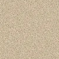 1451 Sand