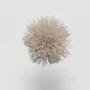 TW282 Seed Pearl